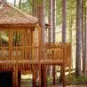 Campaigners fear proposed holiday park will mean increased traffic and loss of trees