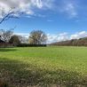 More than 250 homes can be built near Spondon in protected Derby Green Belt