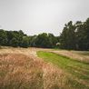 Allestree Park awarded £1.1 million for rewilding and improvements