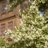 Most Instagrammable National Trust sites in Derbyshire to see blossom this spring