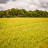 The sites where thousands of homes are planned for Derby outskirts