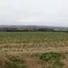 'Posh' Erewash villages being protected from development