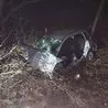 Ford Fiesta driver trapped after car crashes with tree on A617