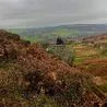 Ten of the best Peak District walks perfect for an autumn stroll