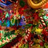 Which is the best Derbyshire garden centre to visit at Christmas? Let us know in our poll