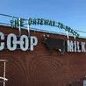 Three cheers for common sense! I'm so pleased Derby's Co-op Cow is back