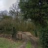 Landowner defends paintballing and airsoft 'killzone' in ancient Derbyshire woodland