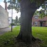 New Derby HMO gets the go-ahead