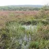 Project given boost to protect picturesque Peak District countryside