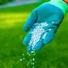 Homeowners should feed lawns with one household item to keep grass lush this autumn
