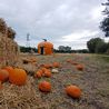A round up of Halloween events around Derby and Derbyshire this year
