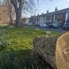 Rocks and tree branches placed to block Travellers from Derby park