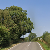 Pensioner killed in crash with gritting lorry near Bolsover