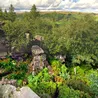 The Roaches: 'Large number' of trees to be axed at magical Peak District beauty spot
