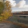 Desperate puppy died ‘struggling’ to get free from bin bag thrown near Derby rail line