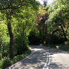 Motorists warned A6 roadworks will cause delays for Peak District visitors