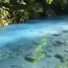Urgent investigation launched as Derbyshire river appears to turn blue