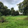 Fears police not tackling &apos;drug users hiding in bushes&apos; at Derby park