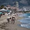 Travel warning for Brits holidaying in Spain after Home Office update advice
