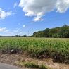 Electricity battery farm plan next to former Derbyshire power station