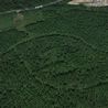 &apos;Shame on you&apos; jibe as battery farm in National Forest woodland approved