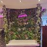 Inside the eye-catching new bar and grill 'Hen and Chickens' at the former Crown and Arrows pub