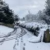 Hour-by-hour Derbyshire weather forecast as sub-zero temperatures set to continue this week