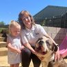 Dog shelter slams &apos;slaughter&apos; of XL Bullies as shocking number put to sleep