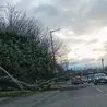 Fallen trees close A38 between Ripley and Breadsall
