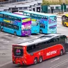 Government says local councils have right to change free bus pass rules