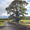 Woman dies after two vehicle crash on busy Derbyshire road