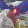 Parents&apos; amazing gesture after their daughter is born more than three months early