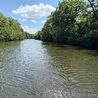 I went on a cruise on the Derby Riverboat. Everyone should try it once