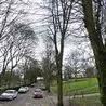 Appeal for witnesses following sexual assault in woods