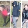 Appeal after reported attack involving three &apos;Bulldog type&apos; dogs