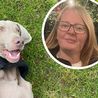 'I went from waking up to losing my dog in 10 minutes' - Warning over mystery illness sweeping Derbyshire