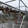 Wanted: Strong people to hang Bakewell Love Locks in their new home