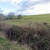 2 men caught using dogs to hunt hares and deer in fields near Derby suburb