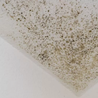 Mould warning issued to people incorrectly using everyday household item