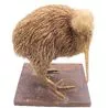 Stuffed kiwi found in hoarder's garage sells for £3