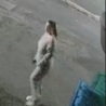 Urgent search for woman after Pleasley hit and run murder of young mum