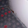 National Express passengers horrified as 'cockroaches seen crawling all over seat'