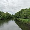 Woman in dramatic rescue from River Derwent at Darley Abbey