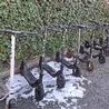 14 e-scooters seized in one Derby suburb in countywide crackdown on 'terrifying' vehicles