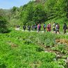 Five Peak District walks with expert National Park rangers