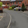 Woman and two dogs die in Sinfin house fire