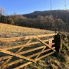 Seven-acre plot of Peak District woodland and countryside up for sale