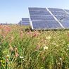 Derbyshire police concerned over armed gangs raiding solar farms