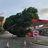 Storm Pia: Duffield Road petrol station pumps closed after tree falls on forecourt