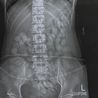 Woman arrested at airport in just seconds after staff take one look at X-ray